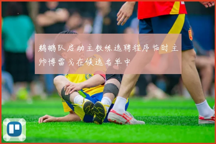 鹈鹕队启动主教练选聘程序临时主帅博雷戈在候选名单中